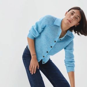 Everlane Alpaca Cardigan